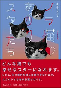 「ノラ猫あがりのスターたち」.jpg